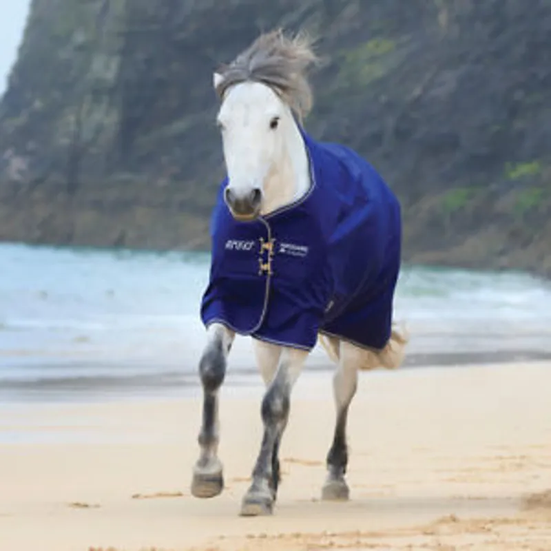 Horseware Amigo Hero ACY Lite Turnout Rug - Atlantic Blue/Atlantic Blue/Ivory